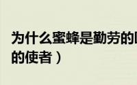 为什么蜜蜂是勤劳的园丁（为什么蜜蜂是勤劳的使者）