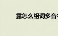 露怎么组词多音字（露怎么组词）