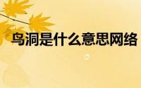 鸟洞是什么意思网络（北京鸟洞什么意思）