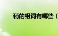 稍的组词有哪些（烧的组词有哪些）