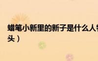 蜡笔小新里的新子是什么人物（蜡笔小新里的新子是什么来头）