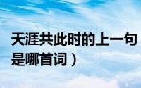 天涯共此时的上一句（举杯邀明月天涯共此时是哪首词）