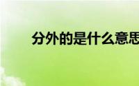 分外的是什么意思（分外什么意思）