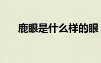 鹿眼是什么样的眼（鹿眼是什么形状）