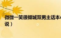 微微一笑很倾城双男主话本小说（类似微微一笑很倾城的小说）