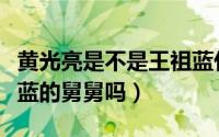黄光亮是不是王祖蓝什么关系（黄光亮是王祖蓝的舅舅吗）