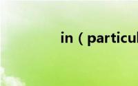 in（particular什么意思）