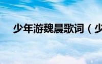 少年游魏晨歌词（少年游魏晨发表时间）