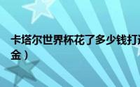 卡塔尔世界杯花了多少钱打造（卡塔尔世界杯花了多少亿奖金）