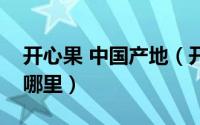 开心果 中国产地（开心果最好的中国产地是哪里）