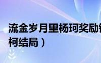 流金岁月里杨珂奖励销售片段（流金岁月里杨柯结局）