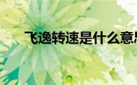 飞逸转速是什么意思（飞逸什么意思）