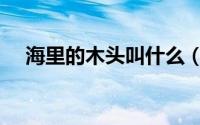 海里的木头叫什么（海里的木头是什么）