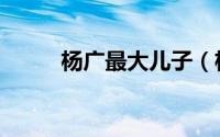 杨广最大儿子（杨广最大气诗词）