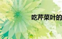 吃芹菜叶的好处和坏处