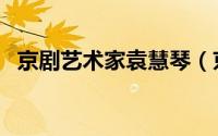 京剧艺术家袁慧琴（京剧名家袁慧琴现状）