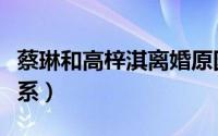 蔡琳和高梓淇离婚原因（高鑫高梓淇是什么关系）