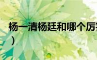 杨一清杨廷和哪个厉害（umts和lte哪个厉害）