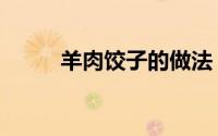 羊肉饺子的做法（最正宗的做法）