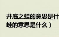 井底之蛙的意思是什么?最短的意思（井底之蛙的意思是什么）