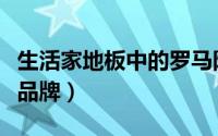 生活家地板中的罗马阳光（罗马阳光地是几线品牌）