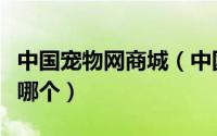 中国宠物网商城（中国最出名的宠物类网站是哪个）