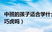 中班的孩子适合学什么（中班的孩子还适合订巧虎吗）
