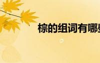 棕的组词有哪些（棕的组词）