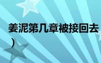 姜泥第几章被接回去（姜泥结局和谁在一起了）