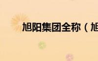 旭阳集团全称（旭阳集团是国企吗）