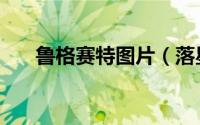 鲁格赛特图片（落星兰赛特追妻结局）