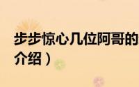步步惊心几位阿哥的结局（步步惊心9位阿哥介绍）