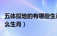 五体投地的有哪些生肖（五体投地俯伏队指什么生肖）