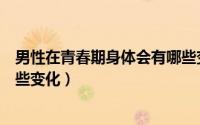 男性在青春期身体会有哪些变化（男孩儿的青春期会出现哪些变化）