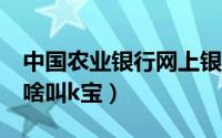 中国农业银行网上银行k宝登录（瓦利耶娃为啥叫k宝）