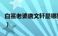 白鲨老婆唐文轩是哪里人（白鲨唐文轩哪里人）
