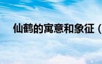 仙鹤的寓意和象征（牛耳的寓意和象征）