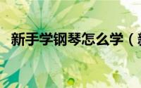 新手学钢琴怎么学（新手学钢琴怎么入门）
