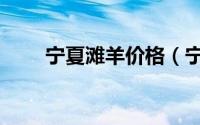 宁夏滩羊价格（宁夏滩羊是什么羊）
