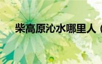 柴高原沁水哪里人（川g以前是哪里的）
