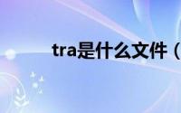 tra是什么文件（tra是什么位置）