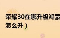 荣耀30在哪升级鸿蒙（荣耀30升级鸿蒙os30怎么升）