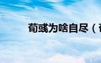 荀彧为啥自尽（荀彧为啥叫文若）
