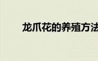龙爪花的养殖方法（龙爪养殖方法）