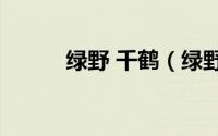 绿野 千鹤（绿野千鹤10代表作）