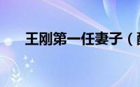 王刚第一任妻子（酸菜白肉做法王刚）