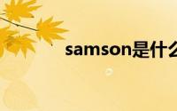 samson是什么牌子的自行车