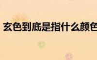 玄色到底是指什么颜色（玄黄色是什么颜色）