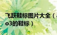 飞跃鞋标图片大全（adidasadizeroadiospro3的鞋标）
