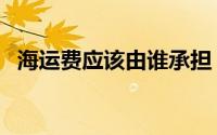 海运费应该由谁承担（海运费指的是什么）